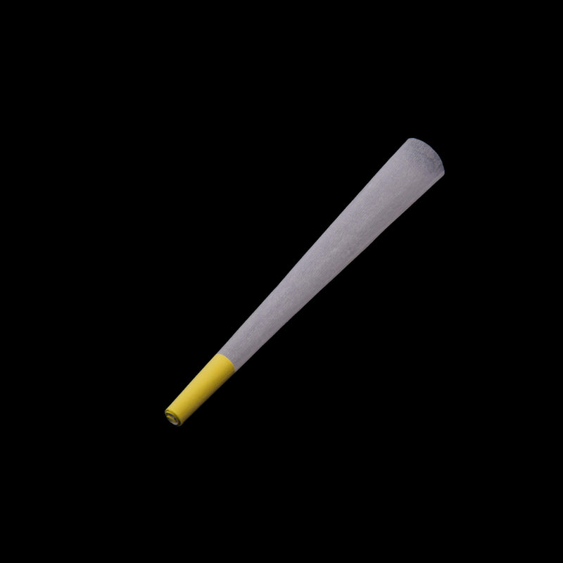 Pre-Rolled Cones Zetla King Size With Yellow Filters (1000 Pcs) - ABK Europe | Your Partner in Smoking